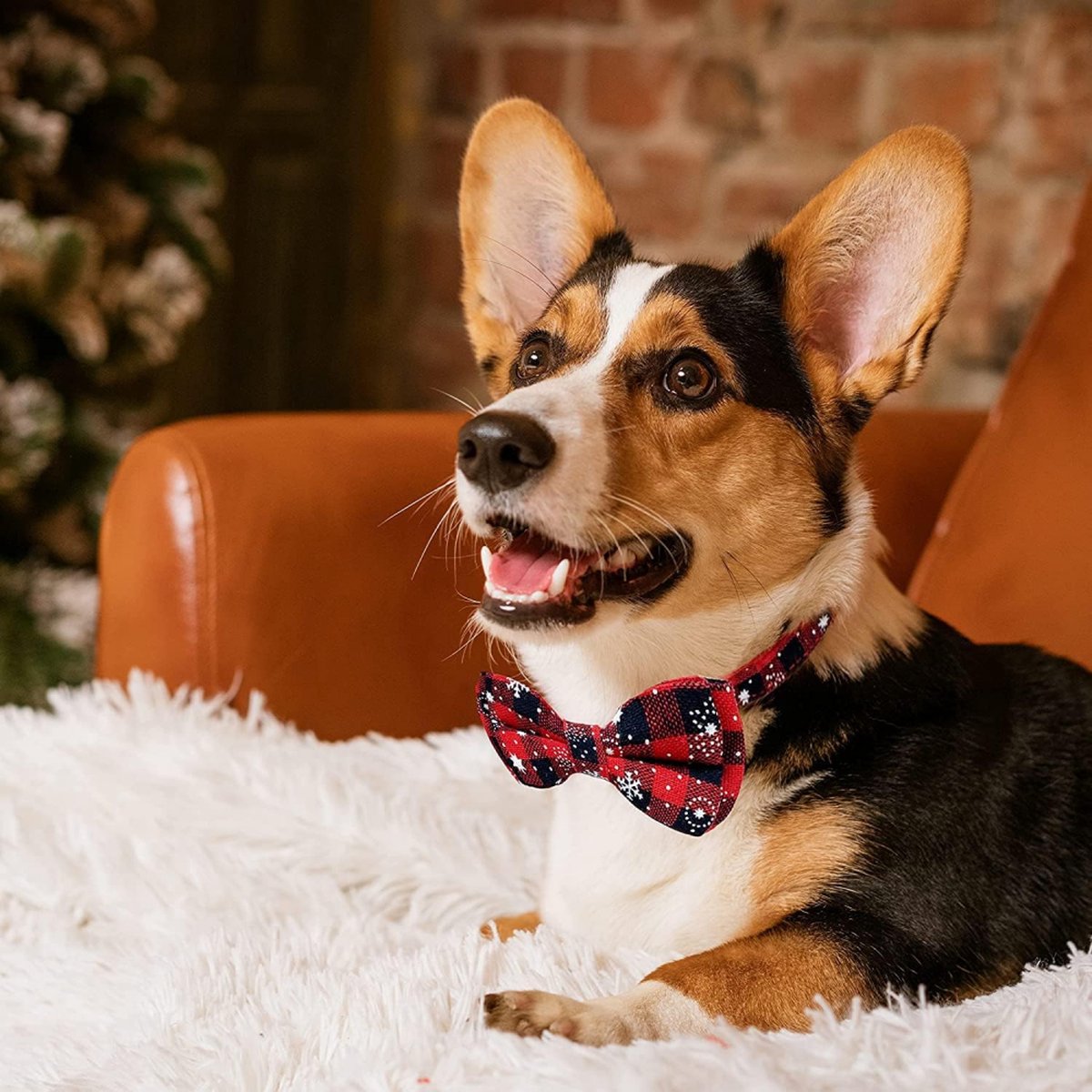 Christmas Dog Bow Tie - Festive Dog Bow Tie - Collar with Bow - Dog Collar - Red - Checkered Bowtie - Adjustable Neckline - Dog Accessories - Dog Clothing - Dogwear - Christmas - Gift - Size M - Image 5