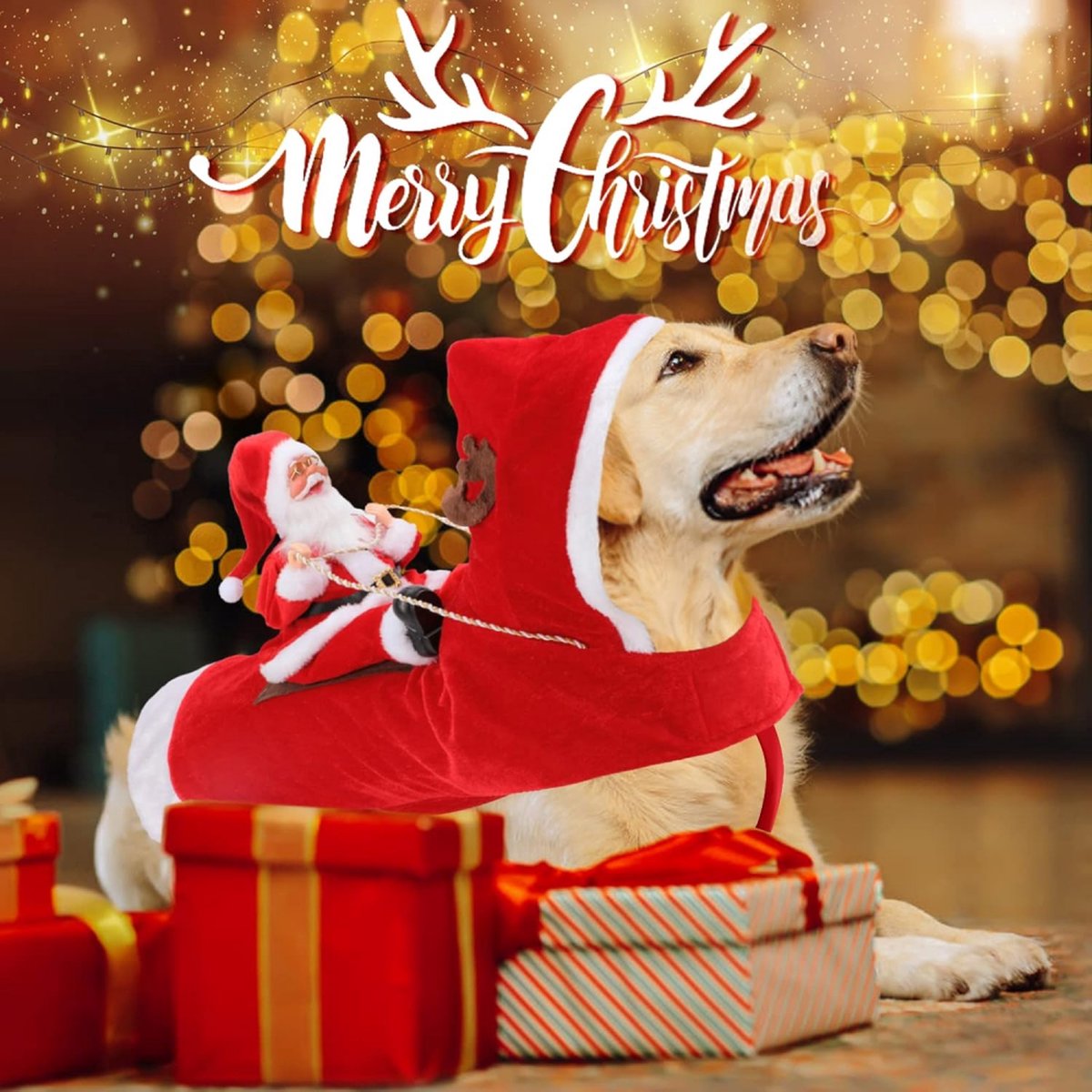 Dog Costume Christmas - Christmas Clothing For Dog/Cat - Christmas Outfit For Puppies - Hooded Dog Christmas Suit - Dog Christmas Clothing - Funny Dog Christmas Costume - Size XXL - Dog Fancy Dress Costumes - Dog Clothing - Pet Christmas Costume - Christm - Image 4