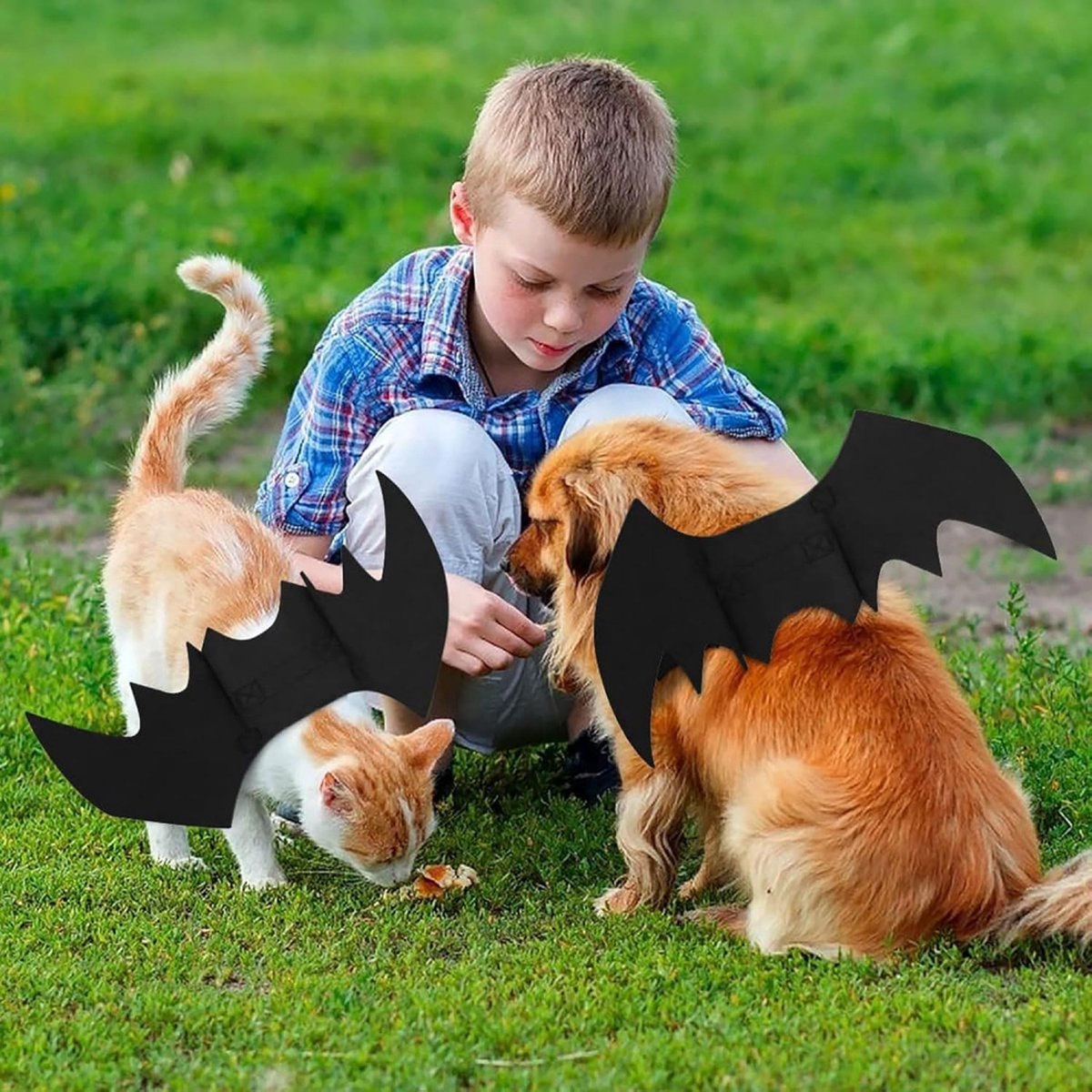 Dog Costume - Dog Halloween Costume With Pumpkin Bell - Clothing For Dogs - Cat Clothing - Funny Dog Suit - Halloween Bat Wings - Halloween Rug For Dog Or Cat - Size M - Animal Clothing - Halloween - Image 4