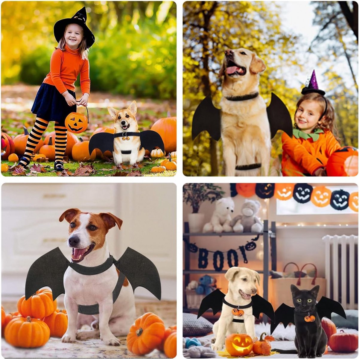Dog Costume - Dog Halloween Costume With Pumpkin Bell - Clothing For Dogs - Cat Clothing - Funny Dog Suit - Halloween Bat Wings - Halloween Rug For Dog Or Cat - Size M - Animal Clothing - Halloween - Image 5