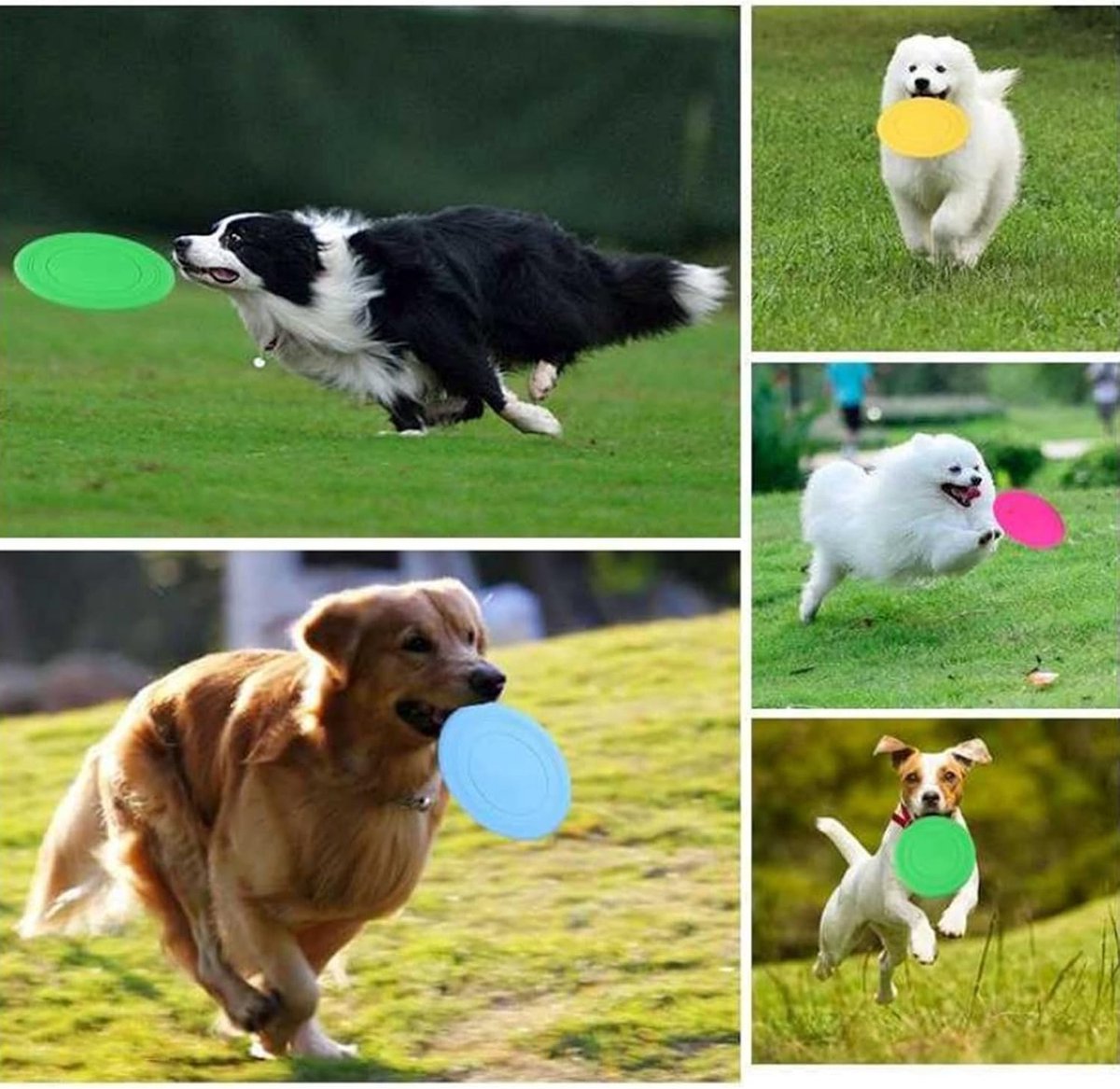 Frisbee - 7 Pieces - Dog Frisbee - Rubber Frisbee Dog - Dog Toys - Beach Toys - Disc - Soft Silicone - Dog Intelligence Toys - For All Dogs - 17.8 Cm - Image 3