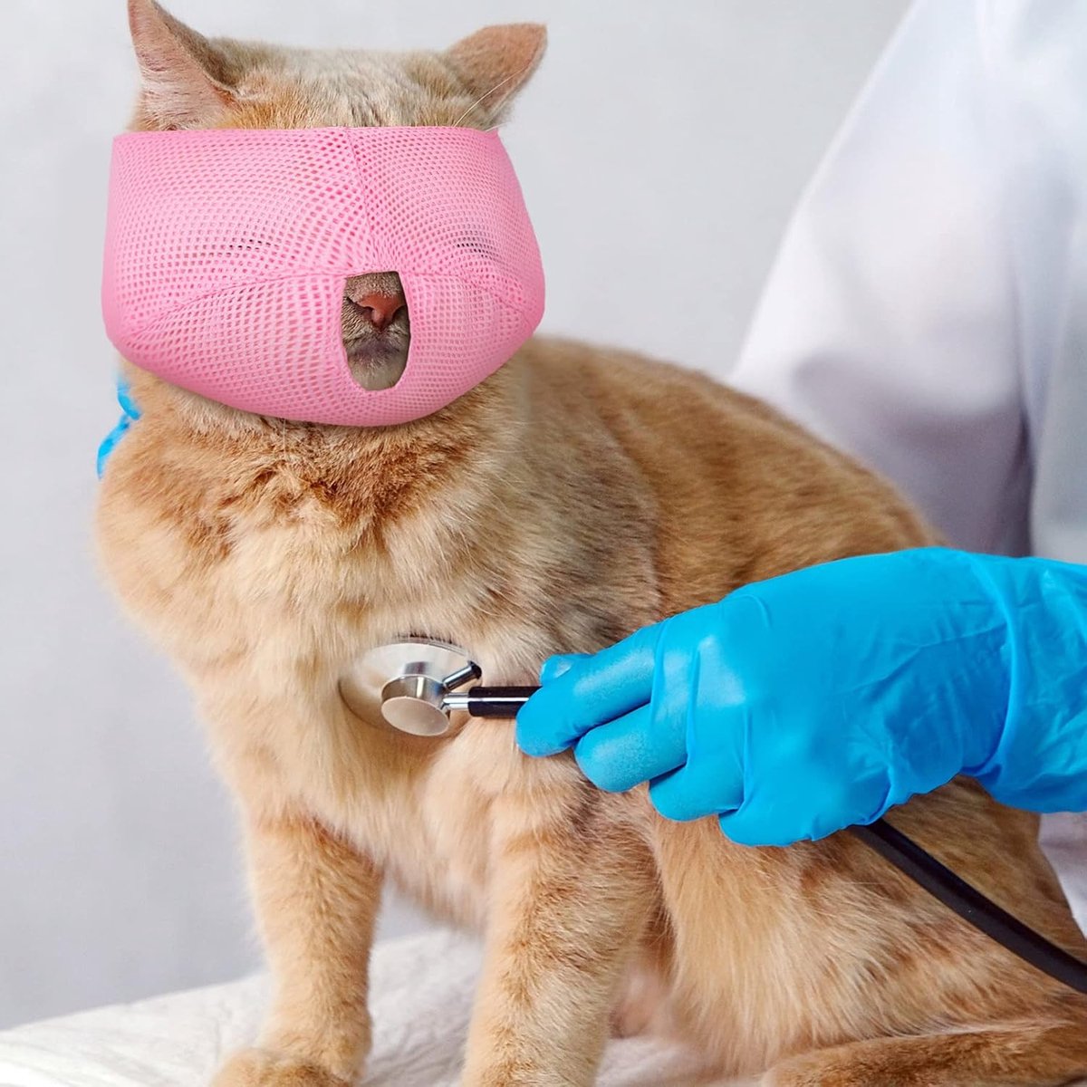 6 Pieces - Breathable Cat Muzzle Size L - Cat Muzzles - Muzzles for Cats and Kittens - Neck Circumference: 18-26 Cm - For Travel, Vet Visits and Bathrooms - Nylon - Eye Mask for Pet Grooming - Cat Muzzle - Breathable - Comfortable - Image 4