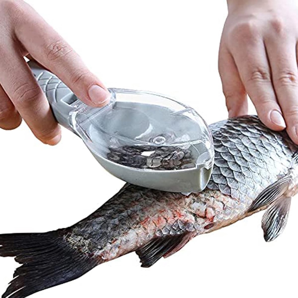 Fish Scraper - Professional Scale Remover - Fast and Efficient - Portable Scale Removal - Universal Fish Descaler - Fish Descaler - Fish Scraper - with Handy Collection Tray - for Kitchen / Restaurant - Green - Piece - Image 3