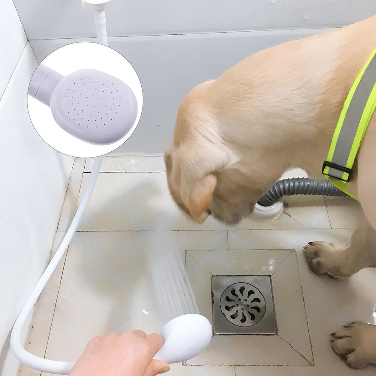 Pet Bath and Shower Set - Dog/Cat Shower Head - Dog Sprayer - Includes Garden Hose and Attachments - For Pets, Hair Washing, Rinsing Vegetables - Taps with a Diameter of 1.4-2.7 cm - White - Image 4