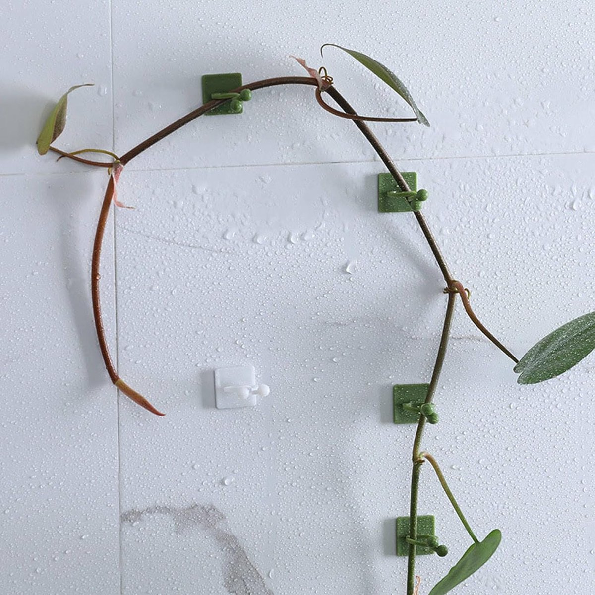 Plant Clips - Plant Clips - Climbing Plant Guide - Tie Up - Plant Support - Garden Clips - Cable Organizer - Wall-Mounted Plant Clips - For Indoor Use - Wall Mounting - Multi-purpose - Reusable - Self-Adhesive - Green/White - Image 4