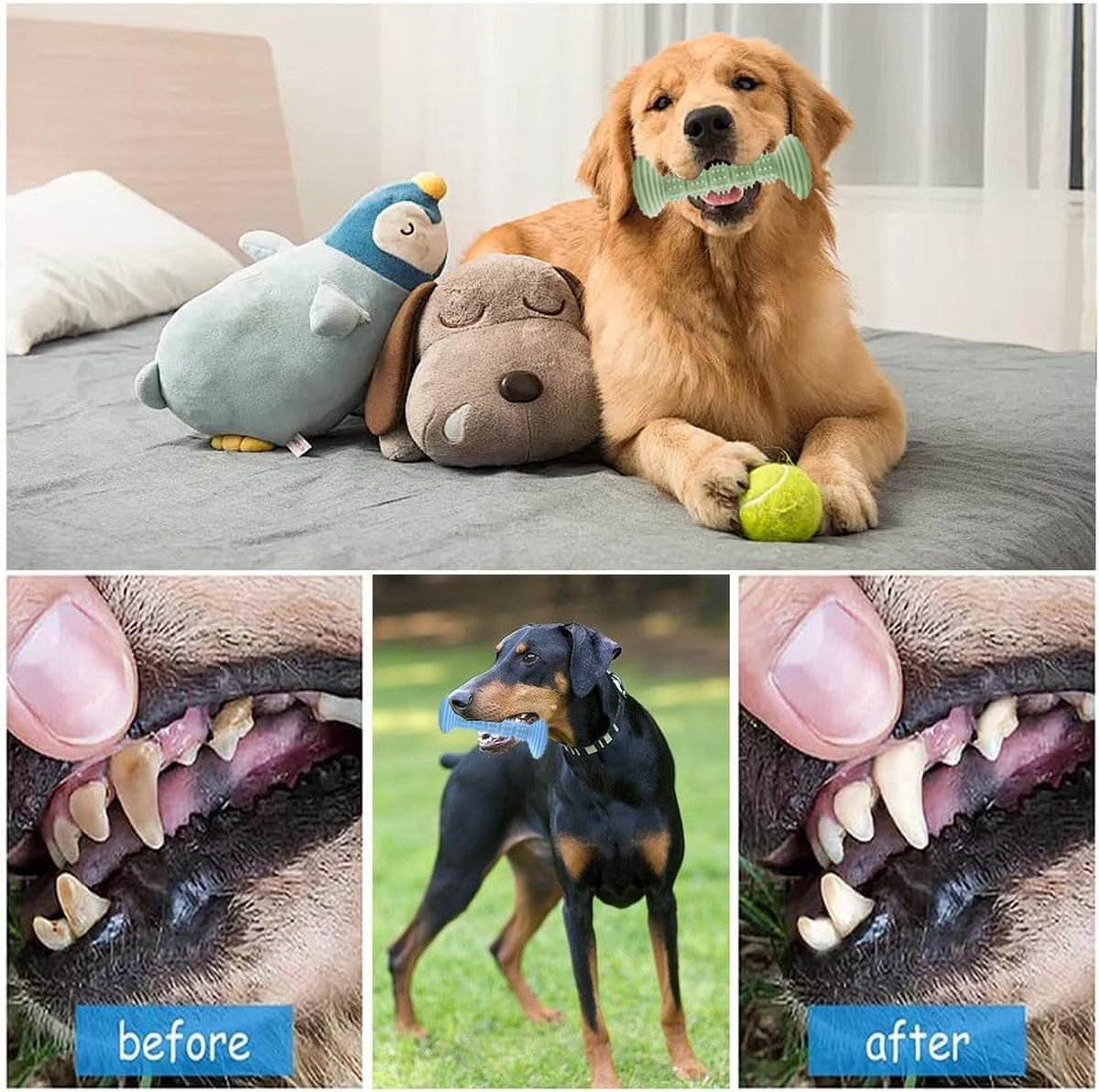 Dog Toys - 3 Pieces - Dog Chew Toys - Dental Care - Teeth Cleaning - Rubber Pet Chew Toys - For Medium and Large Dogs - Blue+Green+Pink - Image 4