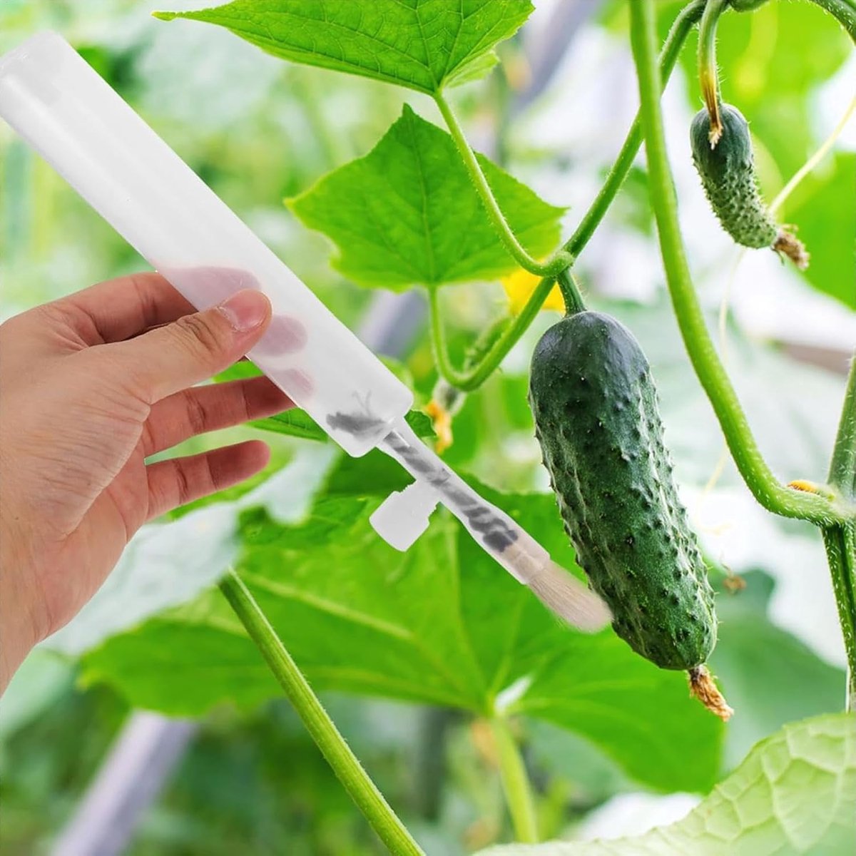 Pollination Pen - Professional Plant Pollinator Tool - Practical & Efficient - For Flower Pollination - Manual Pollinator Range - Garden - Garden Tools - For Various Plants - Image 3