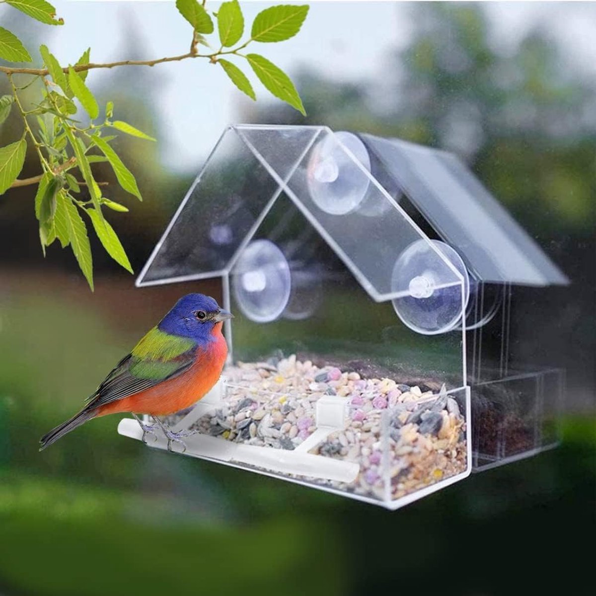 Window Bird Feeder - 2 Pieces Hanging Birdhouse - bird feeder - Transparent with Suction Cup - Transparent Window Feeder - Transparent - outdoor birdhouse - Image 3