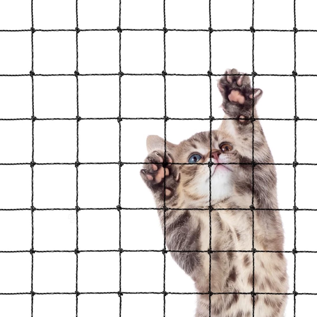 Cat Net - 8*3 m - Cat Balcony Net - Cat Protection Net - Cat Mesh - fall protection net for cats - fall safety net - mesh balcony railing - dog fencing - fall protection net for pets - safety net - with accessories - black - Image 1