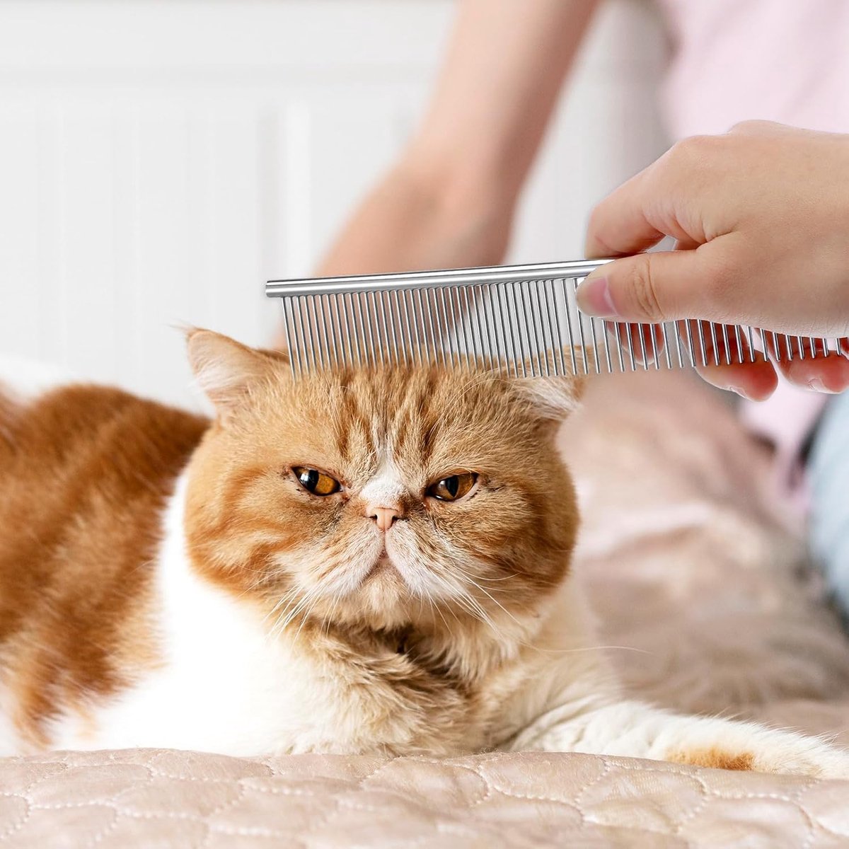 Dog Comb Long Hair Brush Steel Comb for Pet Care Tangle Removal Knots - Set of 2 - Image 3