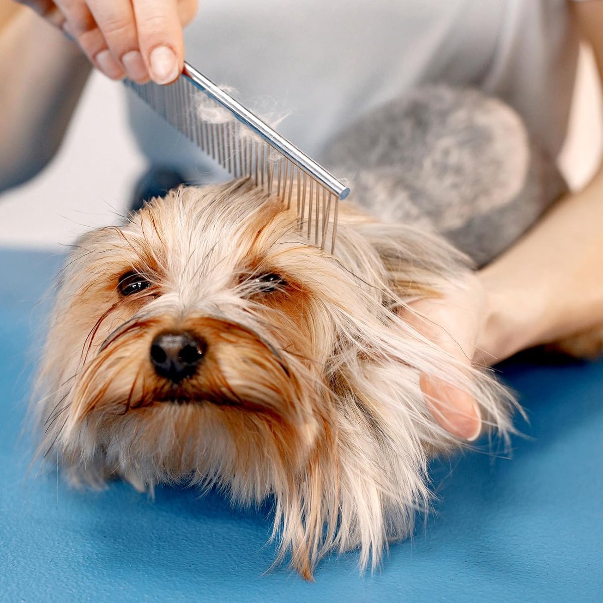 Dog Comb Long Hair Brush Steel Comb for Pet Care Tangle Removal Knots - Set of 2 - Image 4