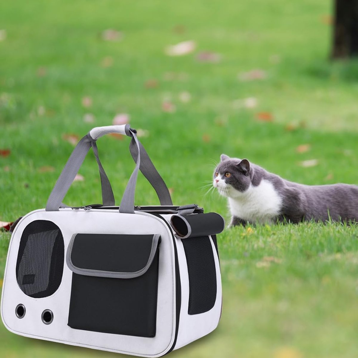 Cat and Dog Transport Bag - Travel Basket - Foldable Cat Transport Box - Cat Bag - Pet Carrier Bag with breathable holes and pockets - for medium-sized cats, small dogs - Dog Bag - 45 x 28 x 26 cm - Black - Image 4