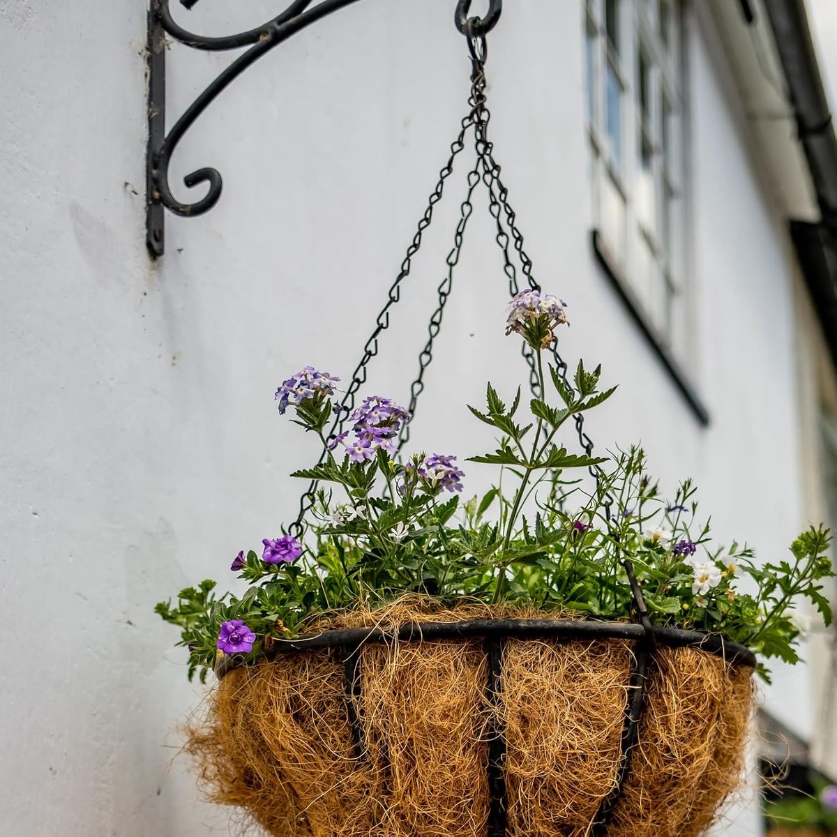 pieces - 16 inch - Plant hanger - Flowerpot hook - Lantern hook - Garden hook - Plant hook - hanging basket chains - with 3 chains - black chain with hooks - for hanging plants and flowerpots - 40 cm - black - Image 2