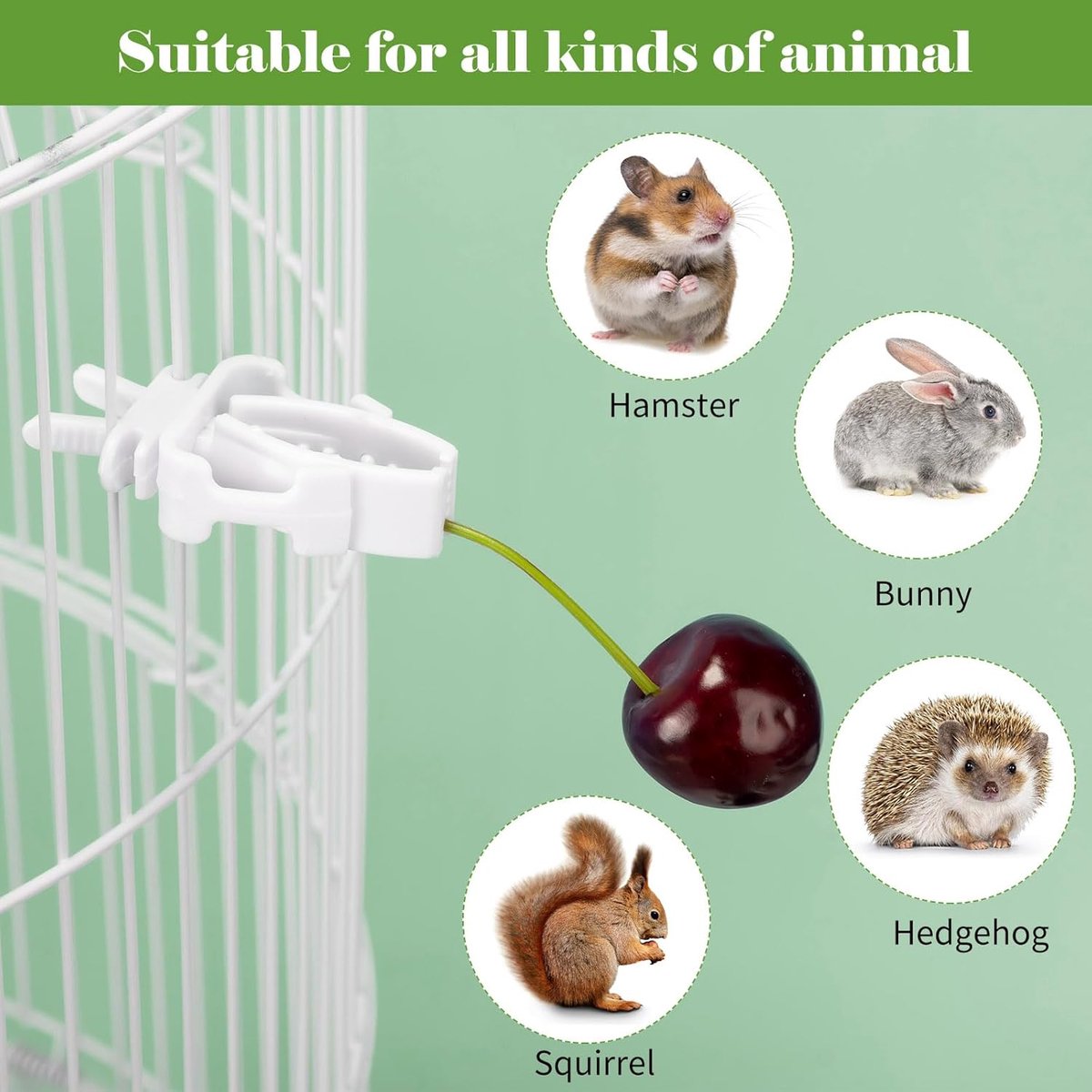 12x Bird Feeders - Plastic bird bowl - Birdcage feeder clips - Bird feeder tray - parrot fruit and vegetable clips - Bird feeder - Bird Feeder Tray - For birdcage - Hanging bird feeder - For birds, parrots - Image 4