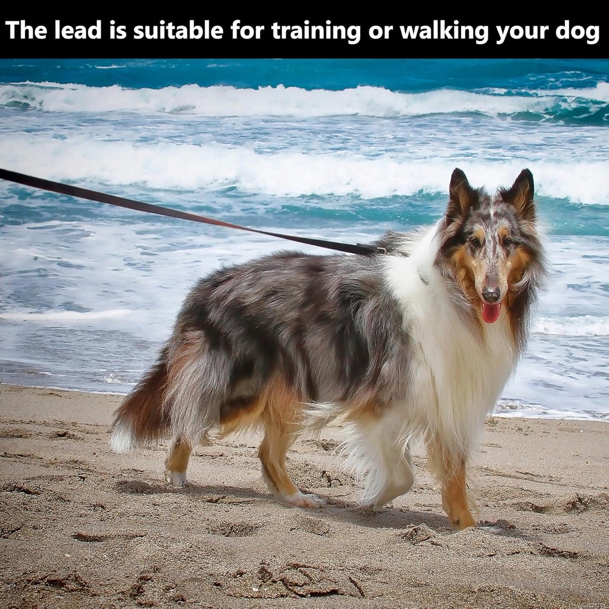 20m*2cm - Dog Leash - Dog Training Leash - Pet Leash - Waterproof - With wrist strap and 360° carabiner - long leash - leash - robust - Pet Supplies - for medium and large dogs - for obedience training - black - Image 4