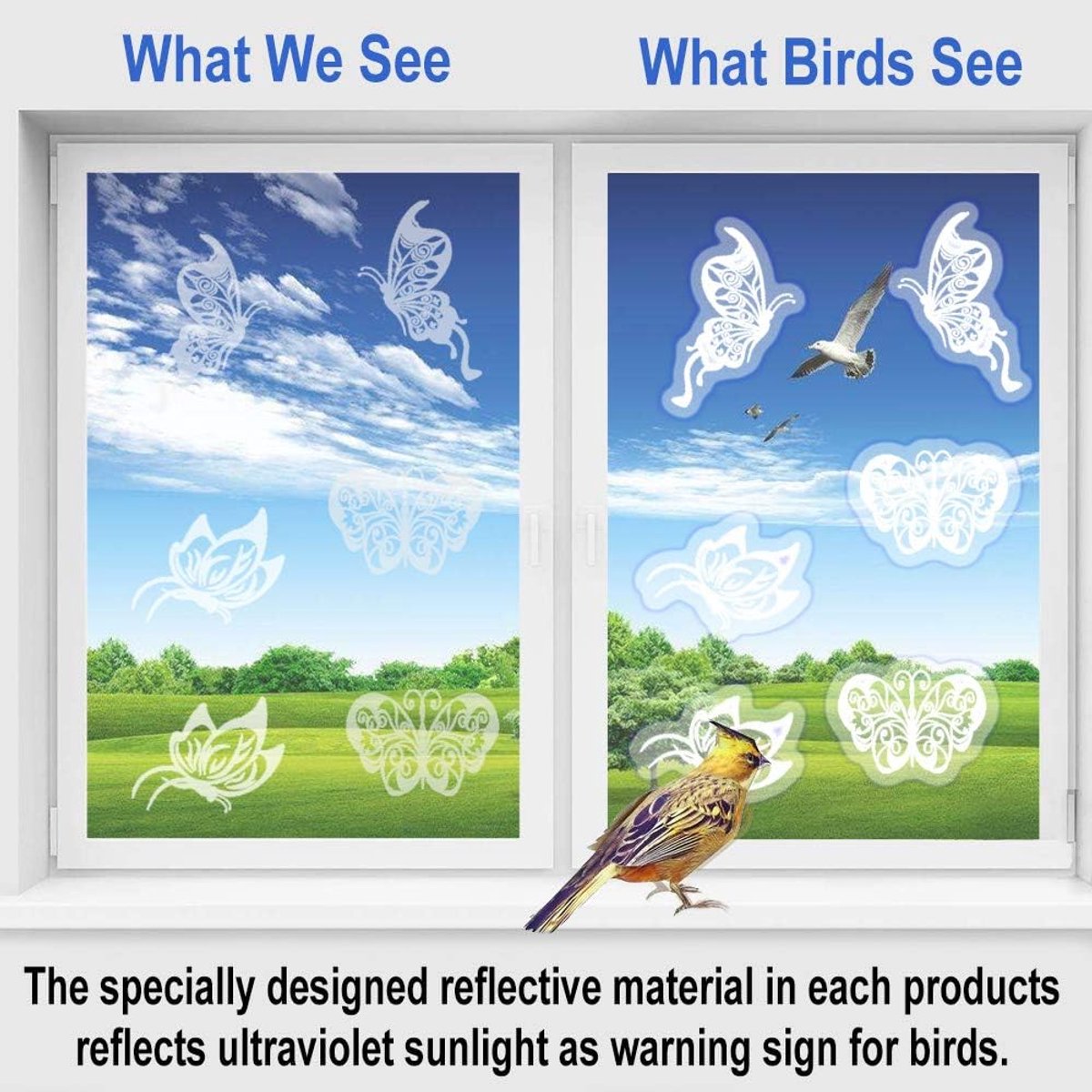 36 pieces - Anti-Collision Stickers - butterfly stickers - with anti-collision warning - transparent window stickers - prevention of collisions with people and birds - window stickers - window decoration - Image 4