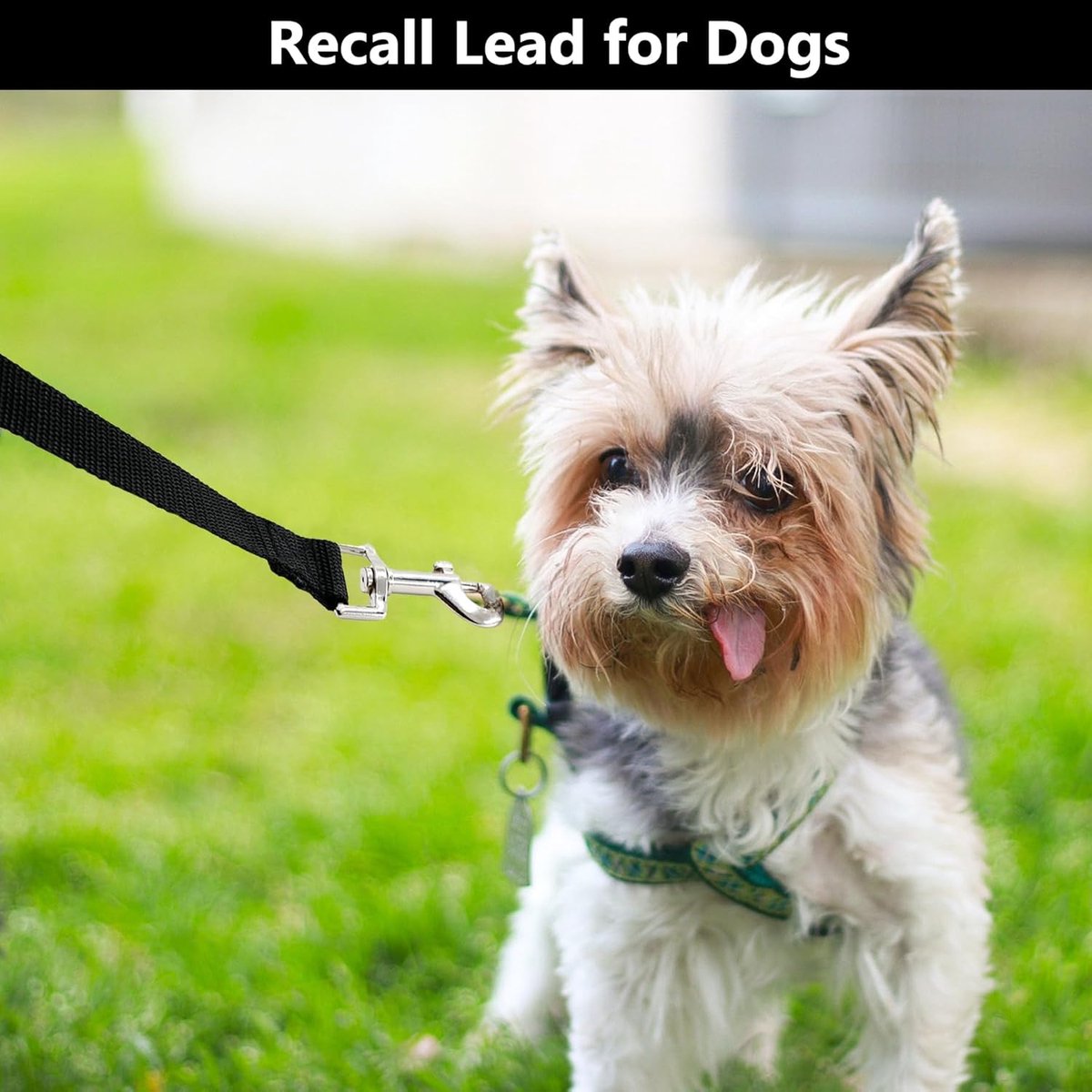 5m*2cm - Dog Leash - Dog Training Leash - Pet Leash - Waterproof - With wrist strap and 360° carabiner - long leash - leash - robust - Pet Supplies - for medium and large dogs - for obedience training - black - Image 4