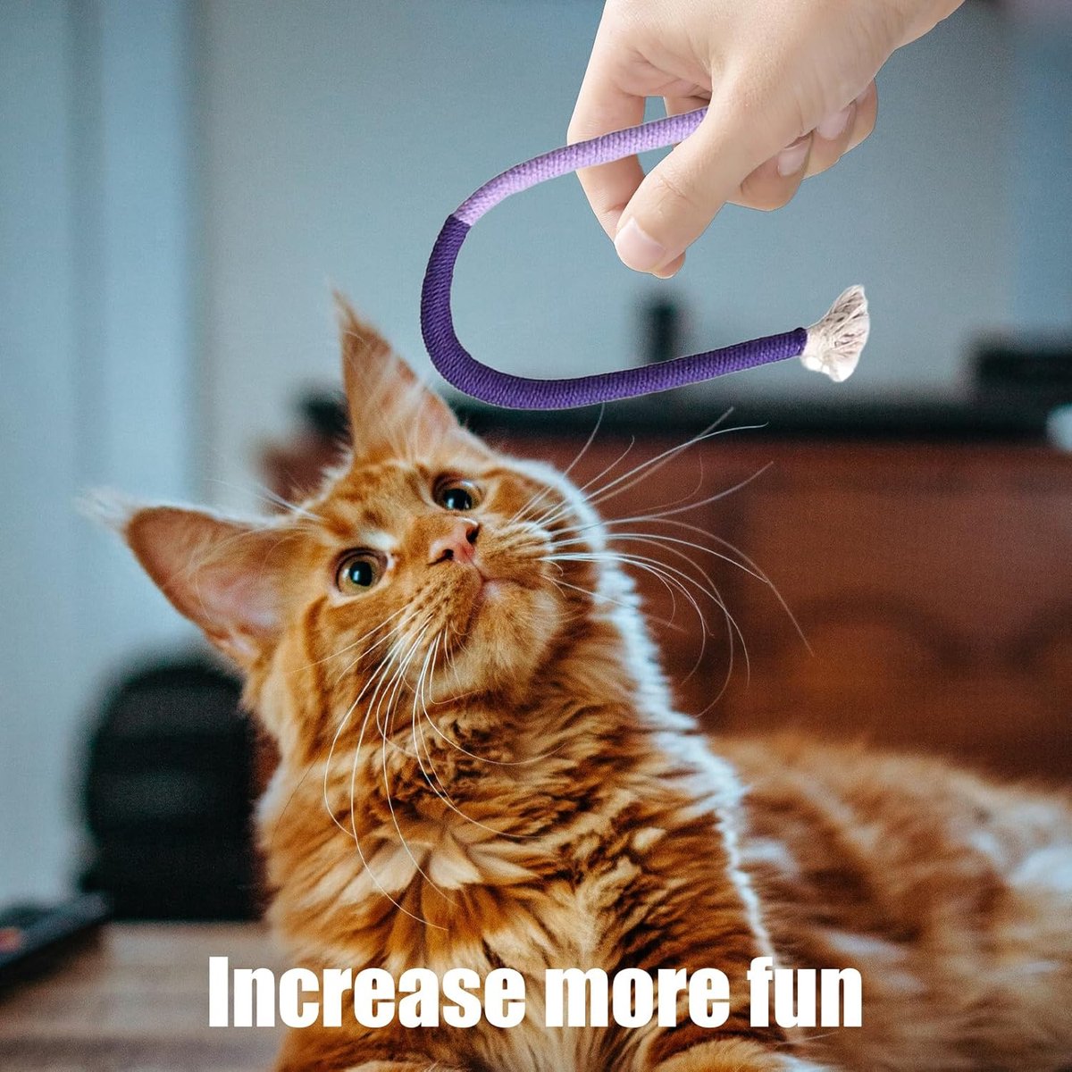 3 pieces - Cat toys - Cotton cat toy leash - play rope - Chew toys for cats - cat toys for teething - interactive toys - safe and soft cotton - dental care for adult kittens - 70 cm - Image 4