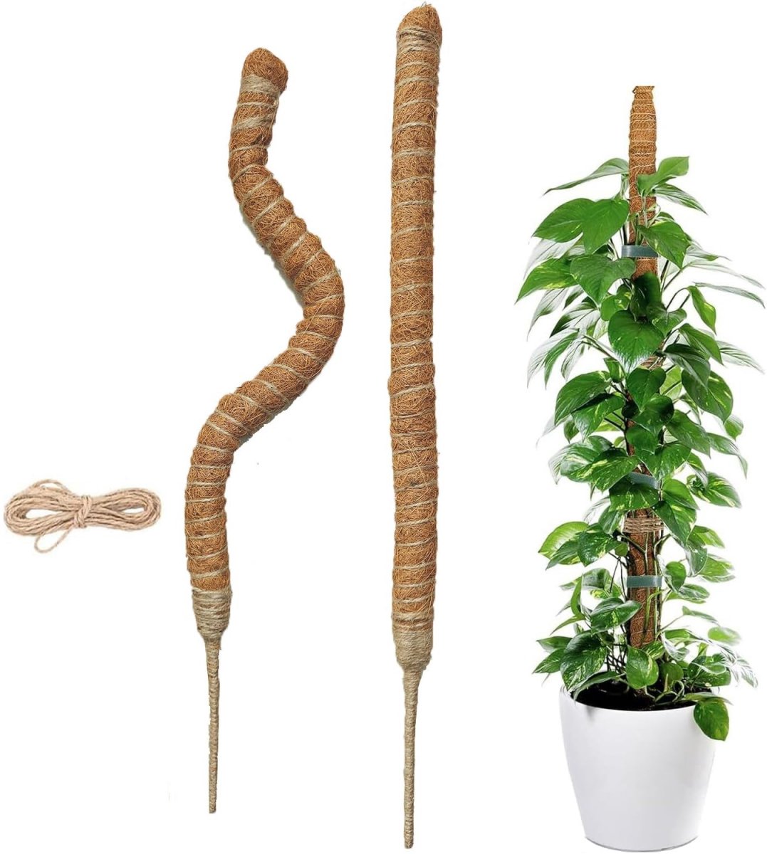 2 pieces - 60cm - Plant supports - Foldable plant support - Climbing plant stake - Monstera Stakes - Plant Stakes - for growing Monstera and other climbing plants - for supporting and guiding plant growth - brown - Image 1