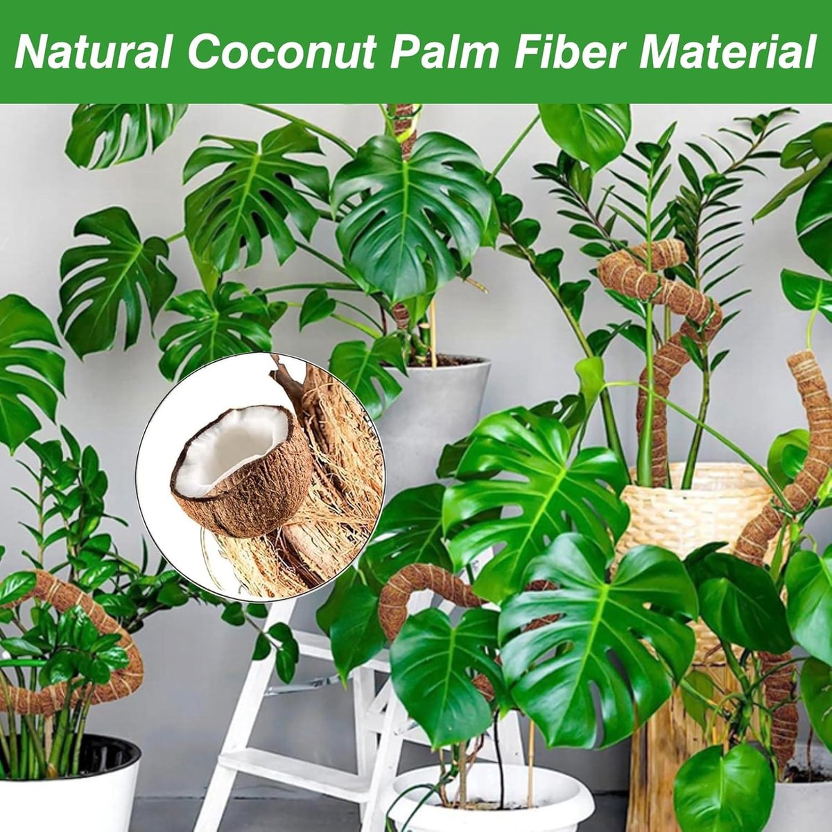 2 pieces - 60cm - Plant supports - Foldable plant support - Climbing plant stake - Monstera Stakes - Plant Stakes - for growing Monstera and other climbing plants - for supporting and guiding plant growth - brown - Image 2