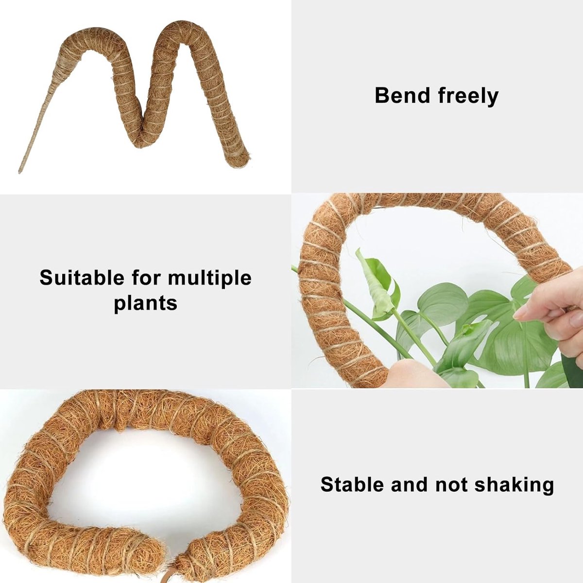 2 pieces - 60cm - Plant supports - Foldable plant support - Climbing plant stake - Monstera Stakes - Plant Stakes - for growing Monstera and other climbing plants - for supporting and guiding plant growth - brown - Image 3