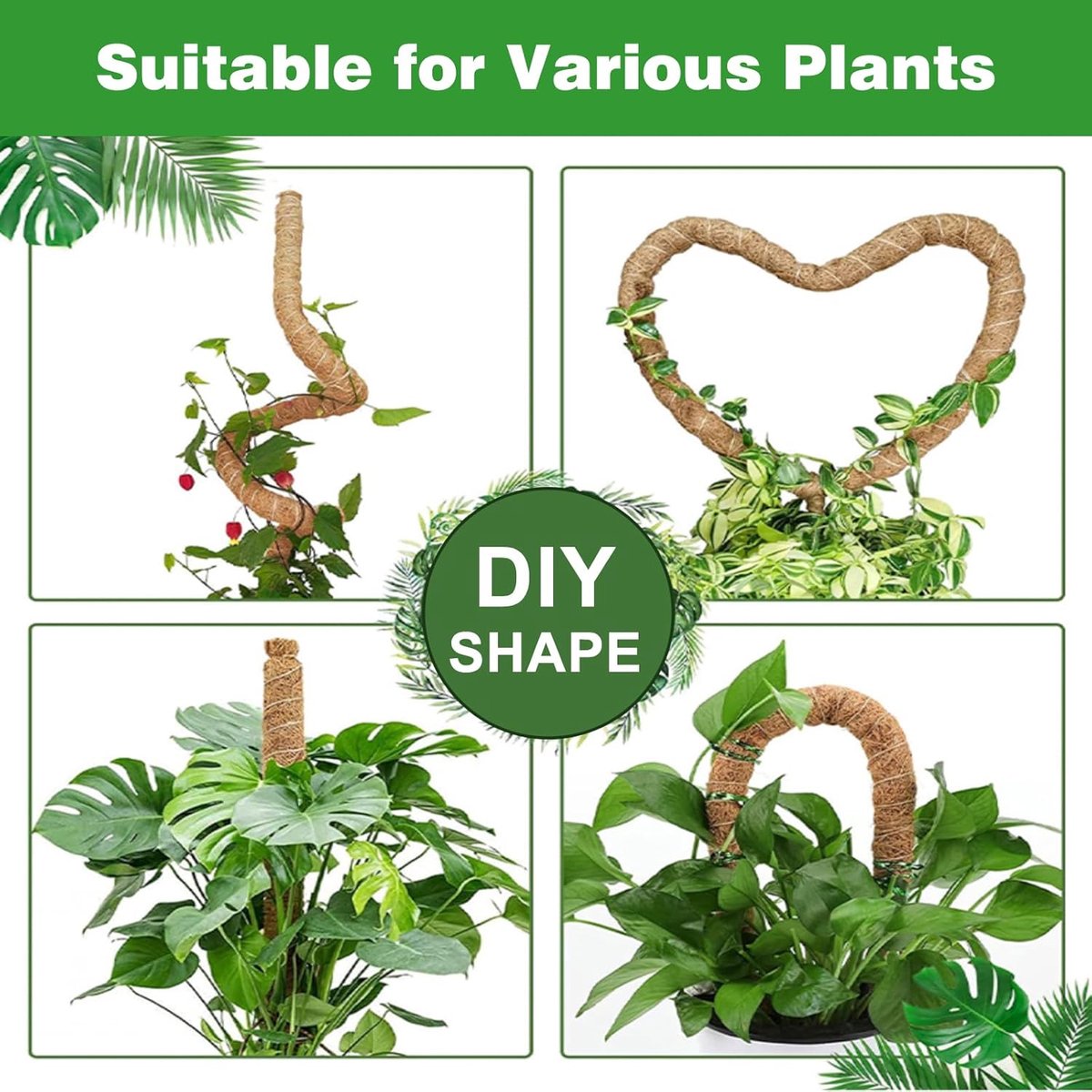 2 pieces - 60cm - Plant supports - Foldable plant support - Climbing plant stake - Monstera Stakes - Plant Stakes - for growing Monstera and other climbing plants - for supporting and guiding plant growth - brown - Image 4