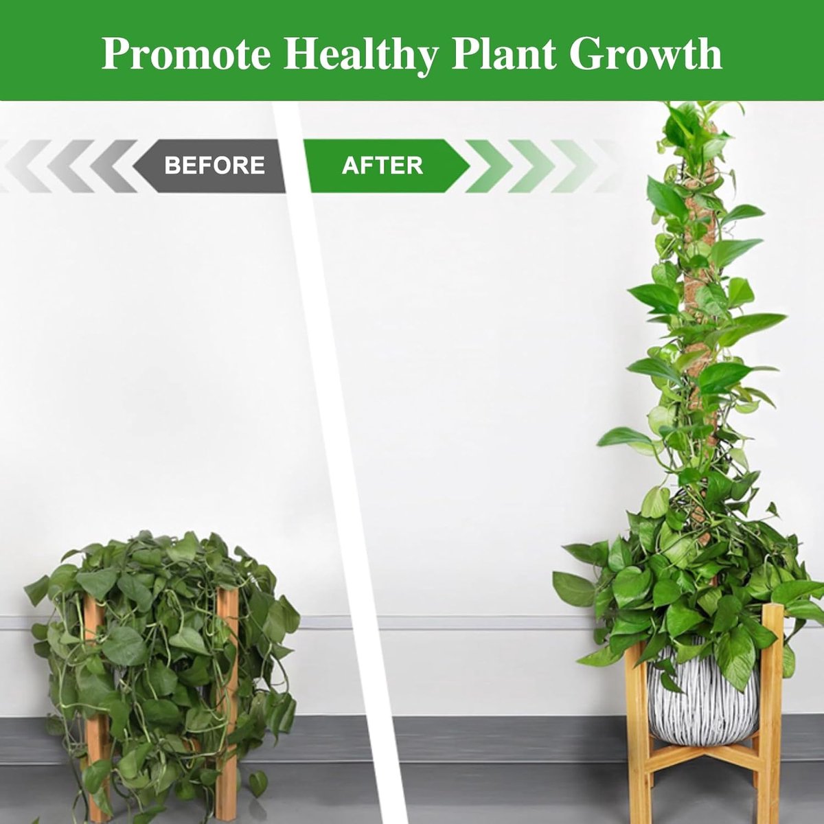 2 pieces - 60cm - Plant supports - Foldable plant support - Climbing plant stake - Monstera Stakes - Plant Stakes - for growing Monstera and other climbing plants - for supporting and guiding plant growth - brown - Image 6