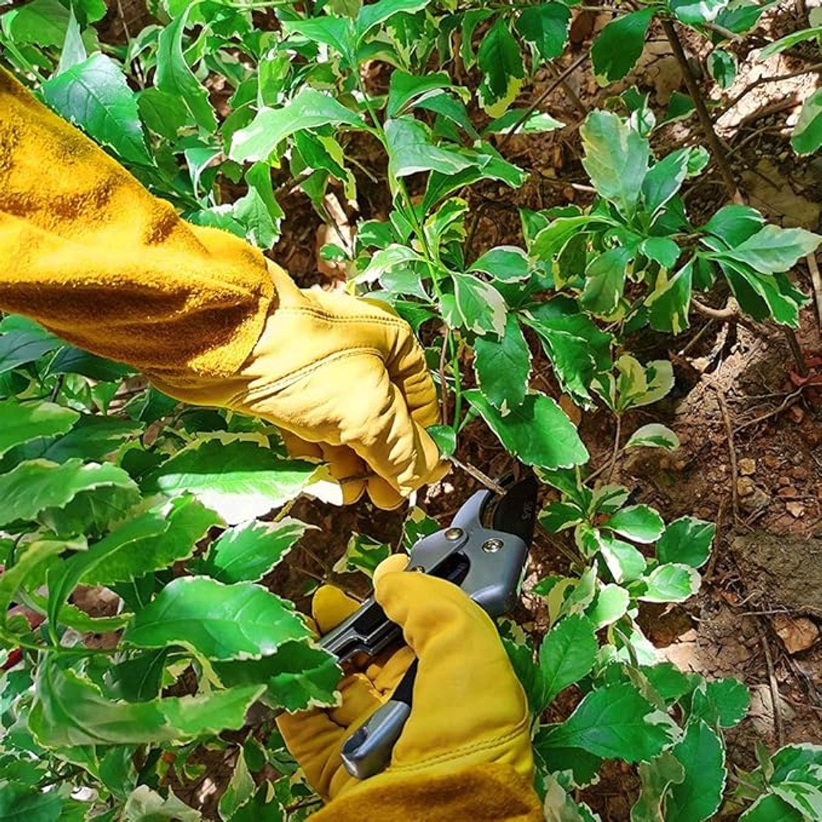 Gardening Gloves - 1 pair - Women/Men - Thorn-Resistant Cowhide Leather rose/blackberry pruning - thorn- and cut-resistant gardening gloves with long leather - Long Forearm Protection - Glove - heavy duty glove - Yellow - Image 2