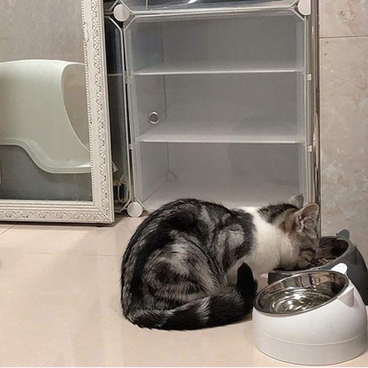 2 pieces - food bowls for cats - Dog food bowl - black, white - 200 ml - Drinking bowl for dogs and cats - Stainless steel - With cat head shape - Image 2