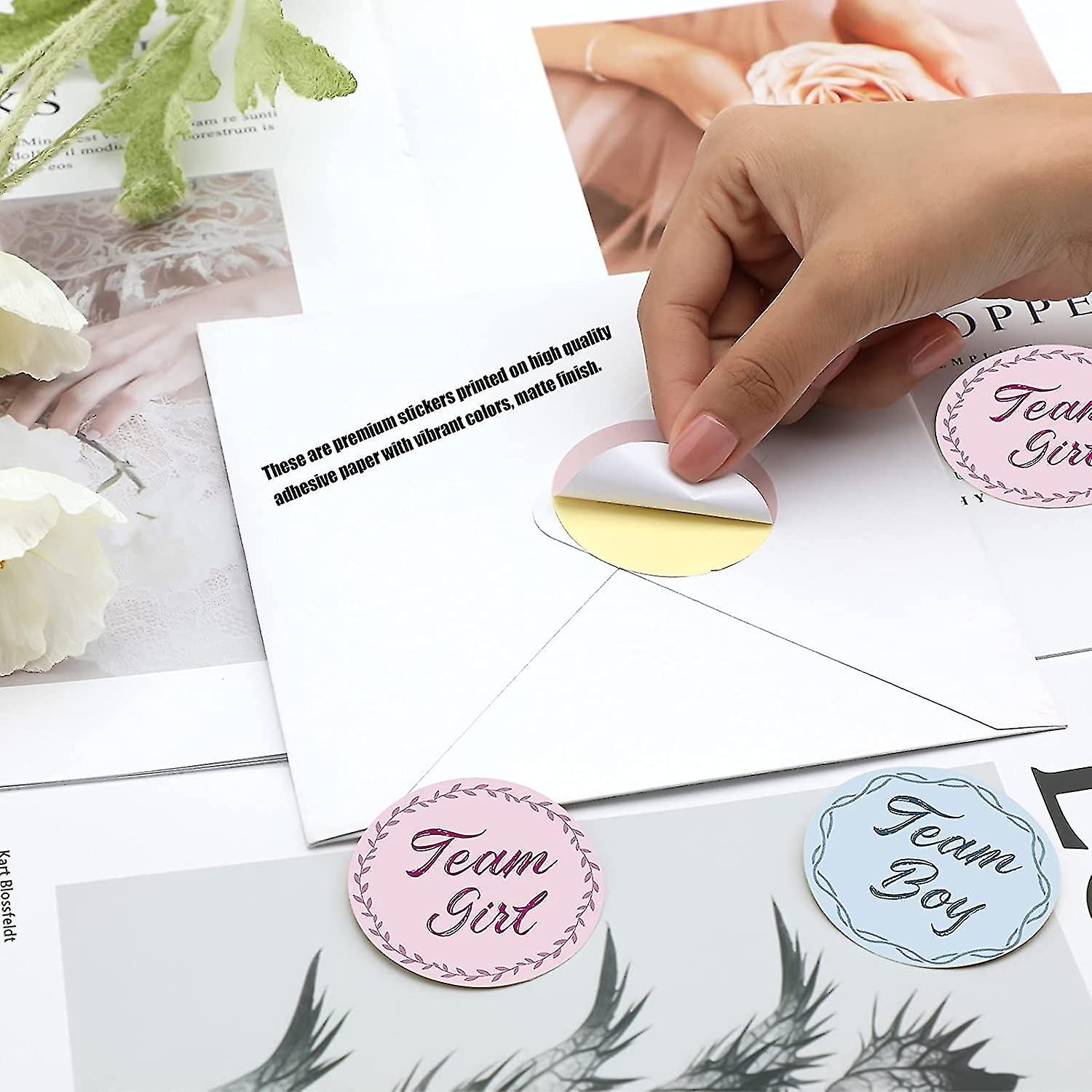 40 Pcs Gender Reveal Stickers Team Boy Team Girl Label Stickers Blue And Pink Round Stickers - Image 3