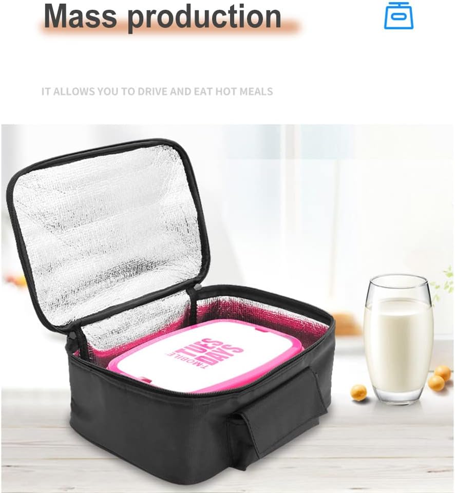 12V Car Insulated Bag, Electric Picnic Bag, Lunch Bag, Foldable Bag for Carrying Picnic Food - 29cm x 21cm x 11cm - Image 2