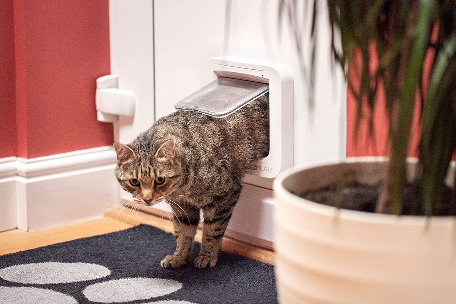 Cat Mate cat flap, white, comfortable for cats to get in and out - Image 5
