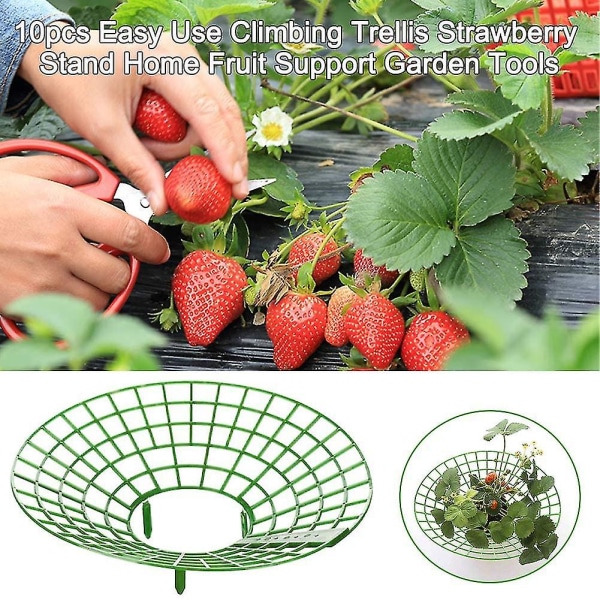 Strawberry Plant Support Cages, 10 pcs Climbing Rack Frame Holder for Balcony Garden Planting, Fruit Support - Image 2