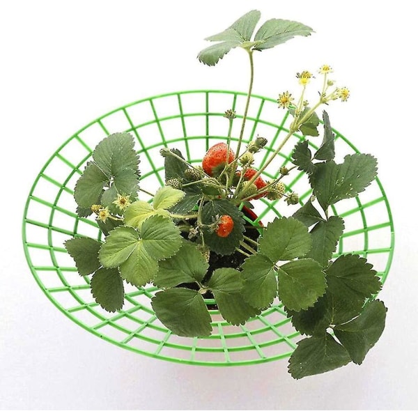 Strawberry Plant Support Cages, 10 pcs Climbing Rack Frame Holder for Balcony Garden Planting, Fruit Support - Image 4