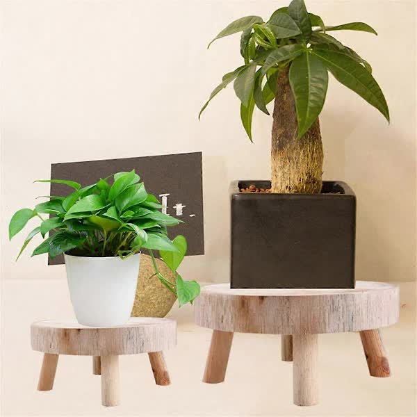 Wooden Plant Stand Bonsai Display Holder Indoor Outdoor Garden Decor - Image 3