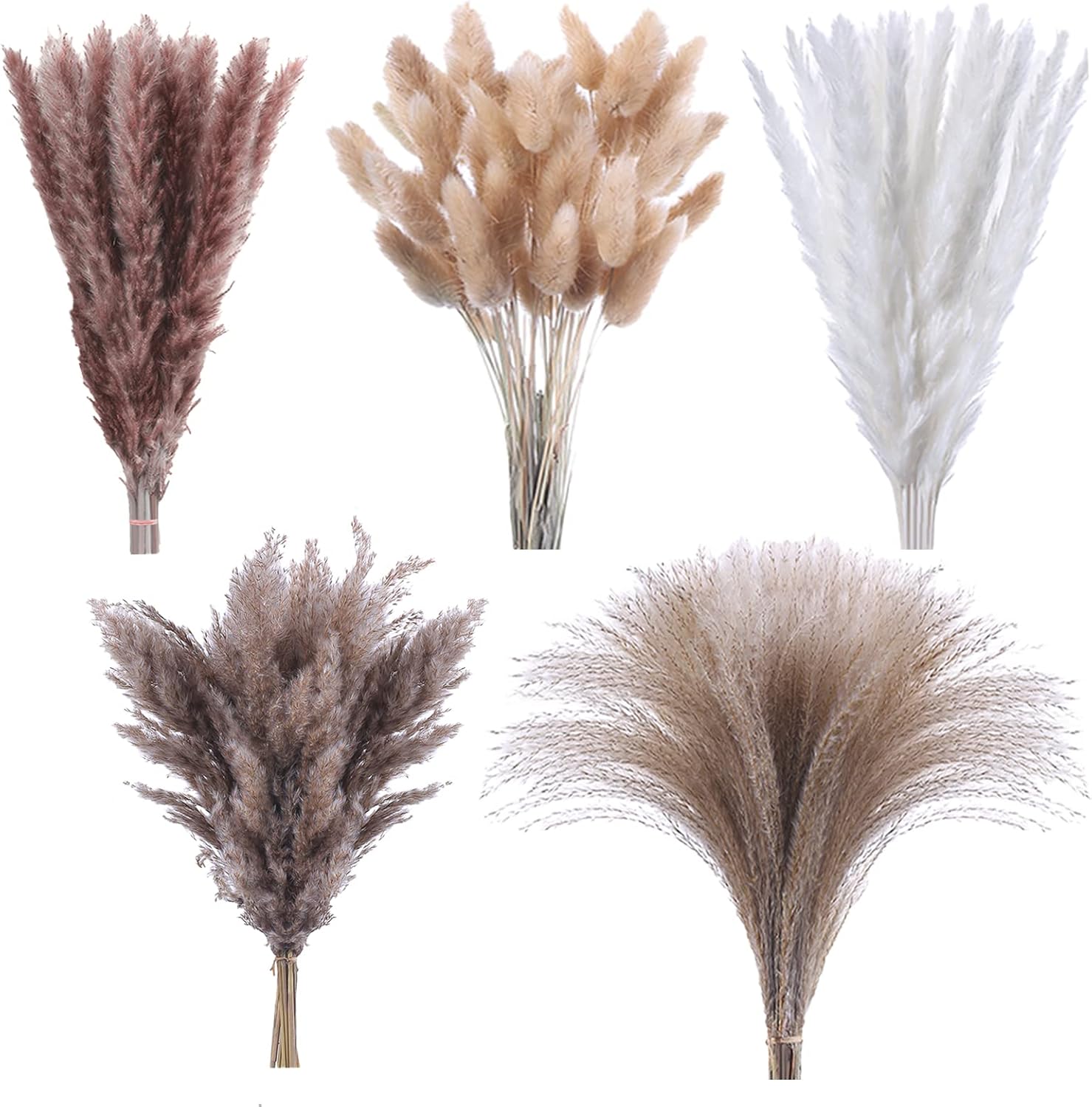 120 Pcs Dried Pampas Grass 17 Inch White Pompas Bouquet Fluffy Dry Pompous Bunny Tails Flower Small Pampass for Room Boho Home Farmhouse Decorations Wedding Pompass Flowers Arrangement Decor - Image 1