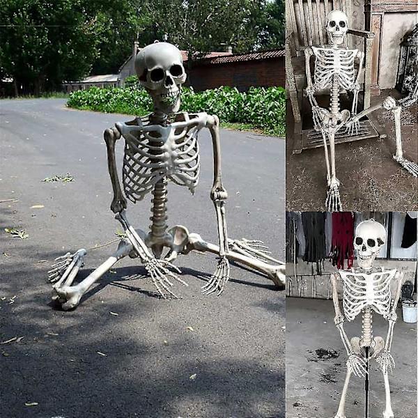 Halloween Skeleton Life Size, Full Body with Movable Joints, Human Legs, Scary Halloween Skeleton Decoration for Halloween Party, Haunted House Accessories - Image 1