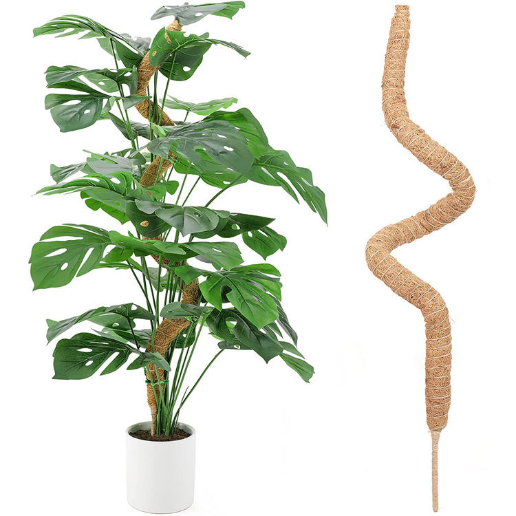 4 pcs Monstera moss rods for indoor plants, bendable plant holder - Image 2