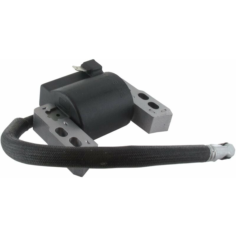 Briggs \u0026 Stratton 796964 Ignition Coil Replacement for Small Engines - Image 1