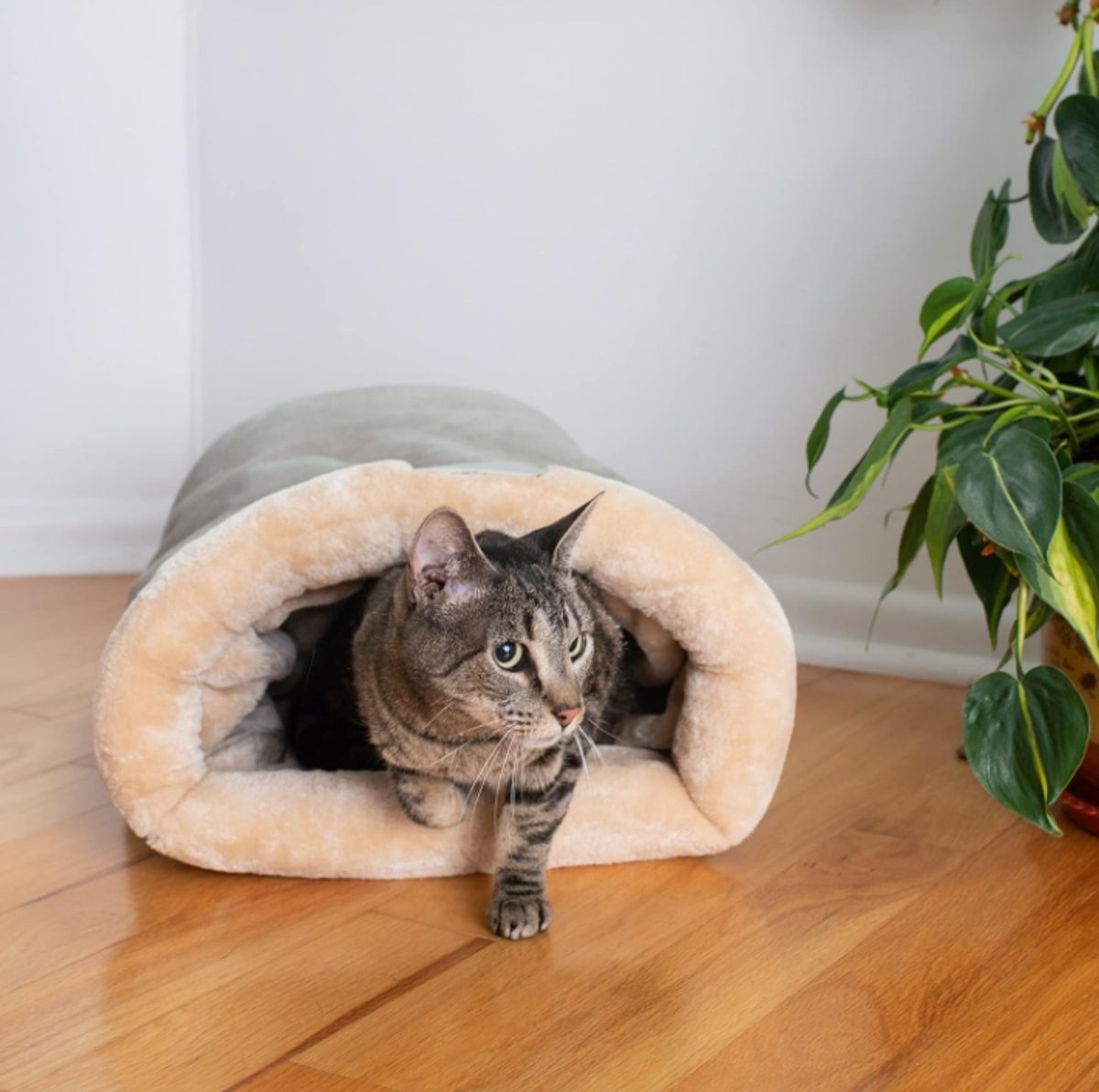 Cat Bed - Cat Basket - Winter Warm - Pet Basket - Autumn/Winter Dog Bed - Pet Cat - Puppy - Cat Bed - Warm - 65*48cm - Image 3