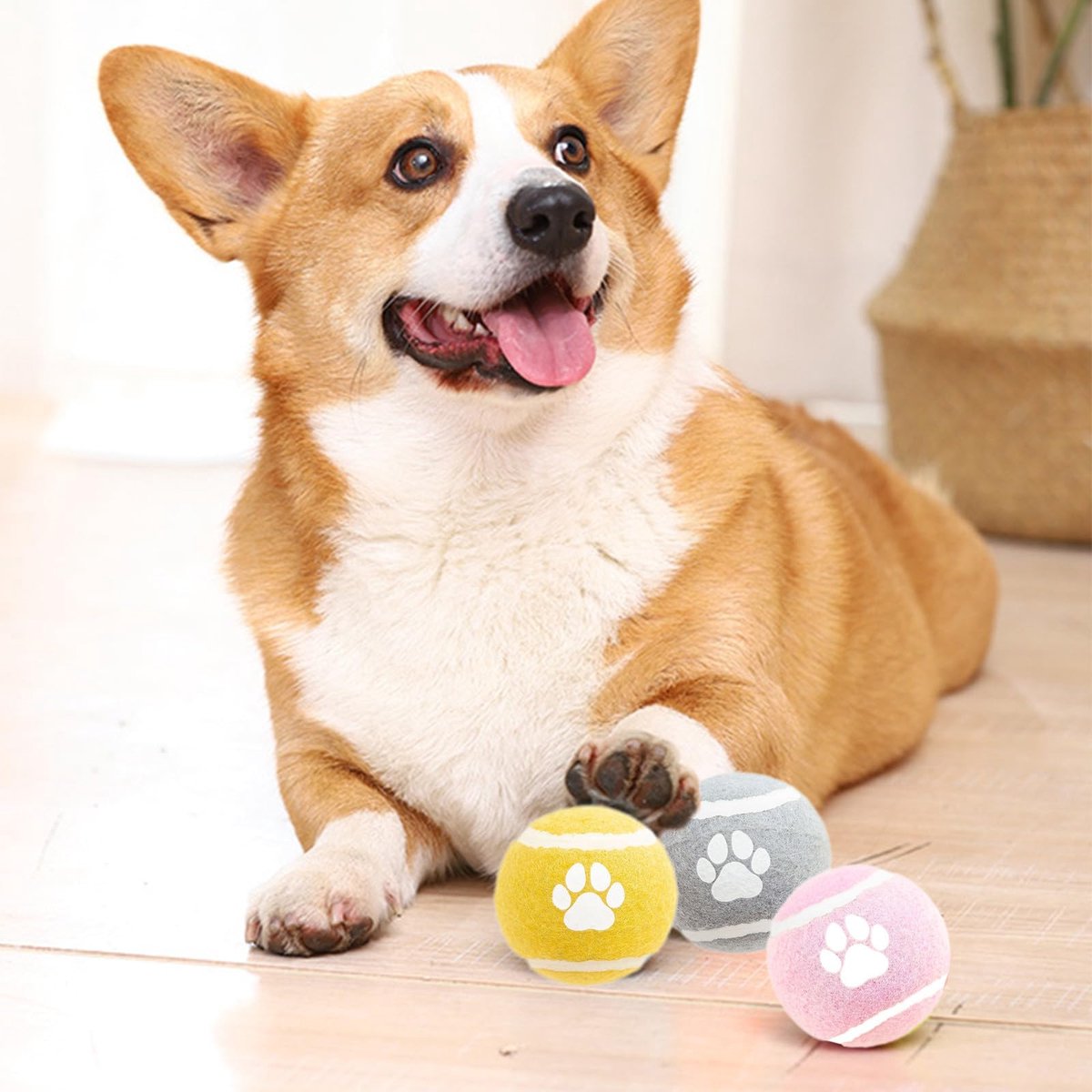 Dog Toys - 3-pack - Dog Puzzle - Interactive - sturdy elastic felt dog balls for retrieving - interactive dog toy - Image 6