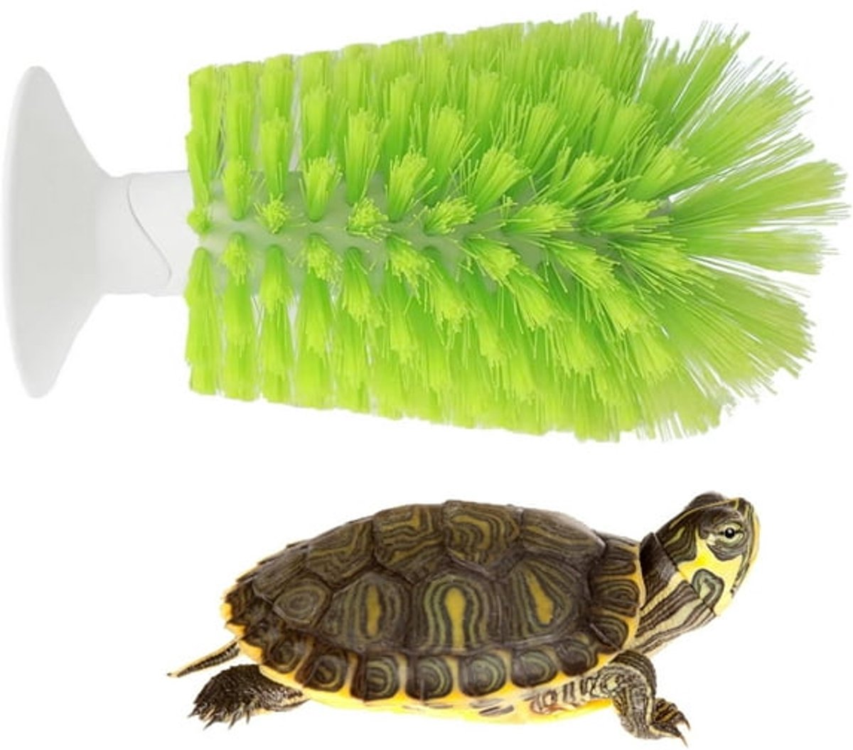 Turtle Shell Brush - Turtle Shell Brush - Turtle Shell Exfoliating Brush - With Suction Cup - Turtle Shell Cleaning Brush - Image 1