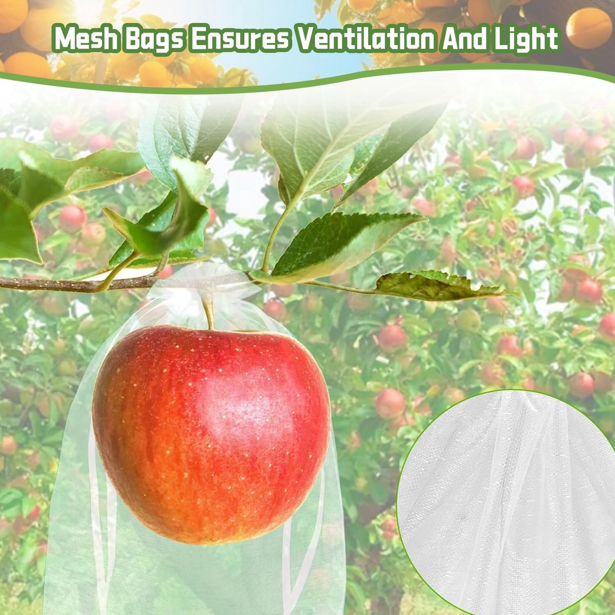 Garden Tools - 20 Items - Fruit Protection Bags - White Fruit Protection Bags with Drawstring - Garden Net Bags - Suitable for Grapes - Prevent Wasps, Cherry Vinegar Flies and Other Insects from Eating Them - Image 3