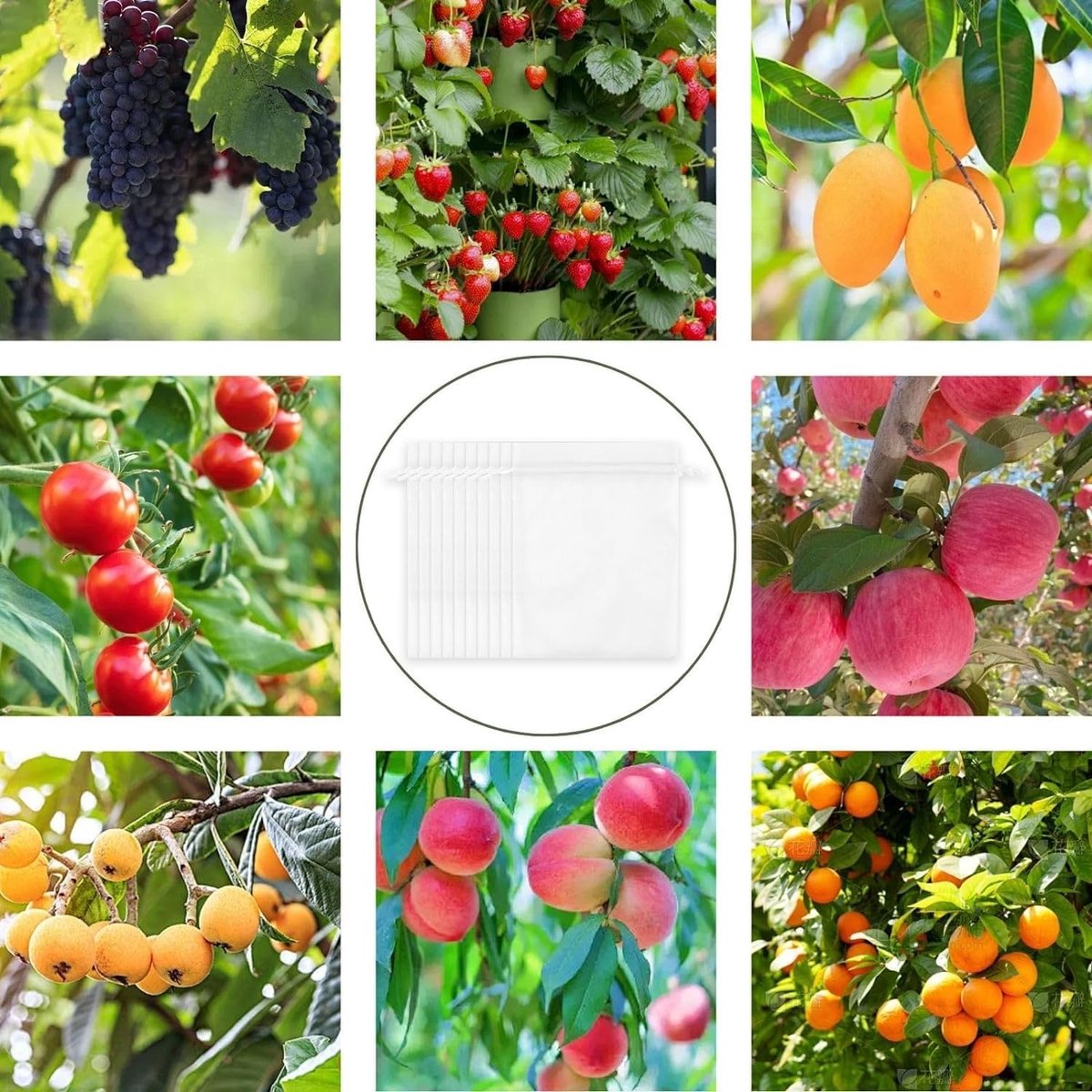 Garden Tools - 20 Items - Fruit Protection Bags - White Fruit Protection Bags with Drawstring - Garden Net Bags - Suitable for Grapes - Prevent Wasps, Cherry Vinegar Flies and Other Insects from Eating Them - Image 4
