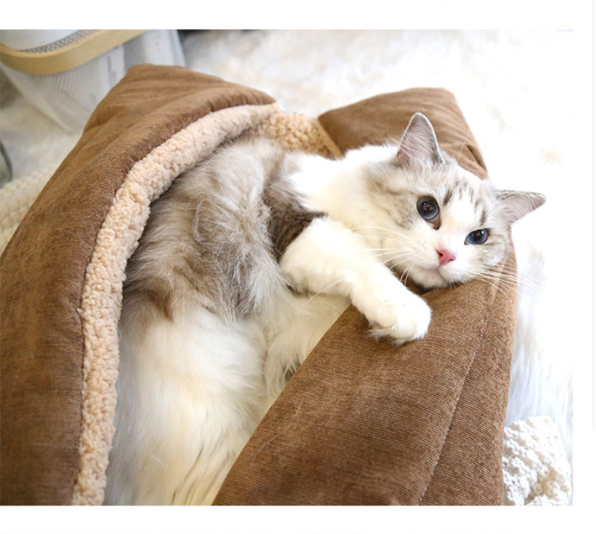 Dog Bed - Cat Bed - Dog Mat - 2-in-1 Warm Cat Bed - Pet Bed - Cat Sofa - Cat - Soft and Fluffy - 70*50cm - Image 4