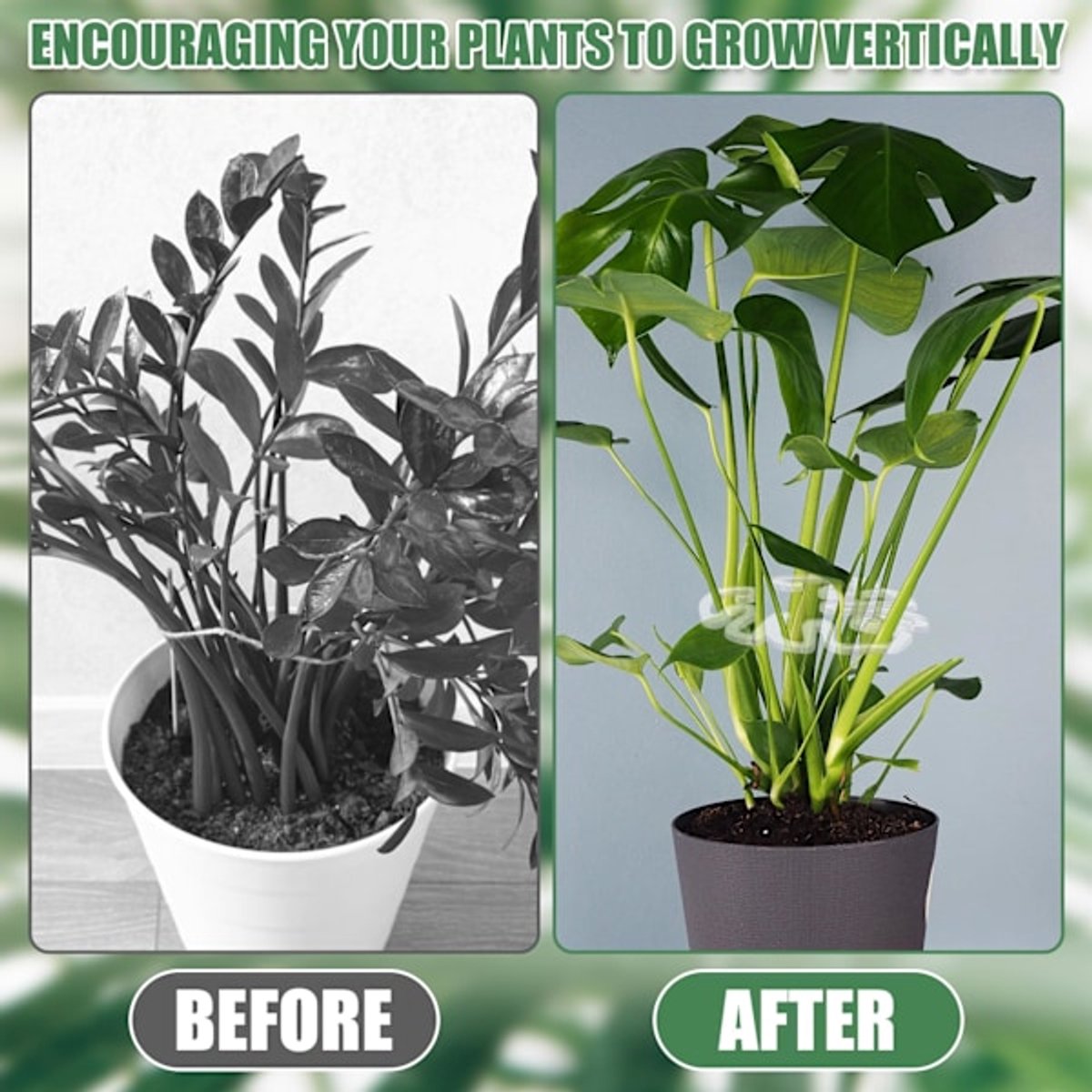 Plant Stands - Acrylic Plant Stands for Indoor and Outdoor Use - 20 Pieces - Image 2