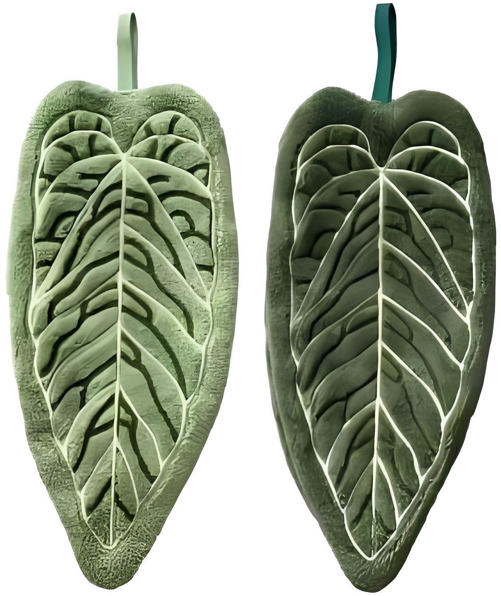 Towels - Towel Set - Soft, absorbent coral fleece kitchen and bathroom towels with hanging loops for easy dishwashing and hand washing - 2-pack (dark green, light green) - Image 1
