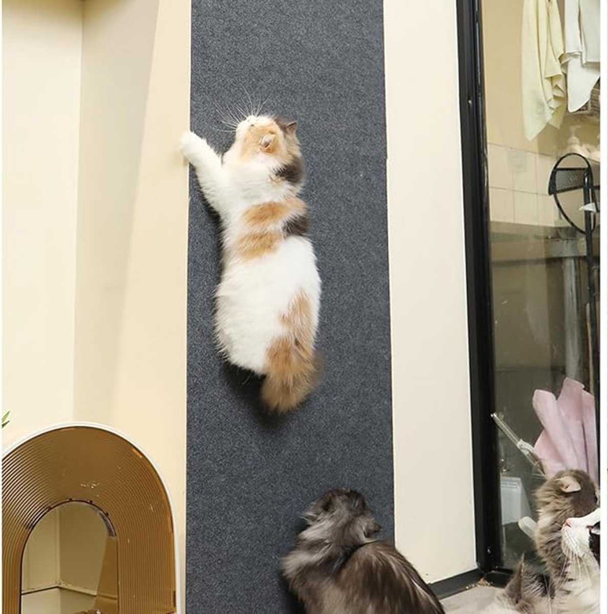 Premium Cat Scratching Mat - Couch Cushions - Strong adhesion, for ultimate fun for your cat - Protects your furniture, lets your cat have fun (size: 30x30 cm, Gray, pack of two) - Image 4