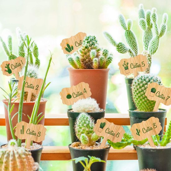 60 plant labels - Wooden plant labels - Wooden garden labels - Decorative garden labels - Suitable for seeds, herbs in pots, flowers and vegetables - Image 3