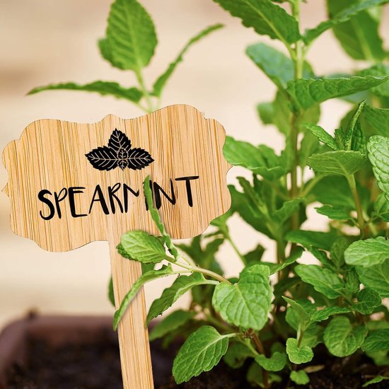 60 plant labels - Wooden plant labels - Wooden garden labels - Decorative garden labels - Suitable for seeds, herbs in pots, flowers and vegetables - Image 4